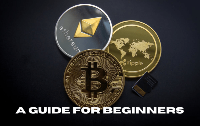 Beginner's guide to the crypto landscape featuring key concepts and trends in cryptocurrency