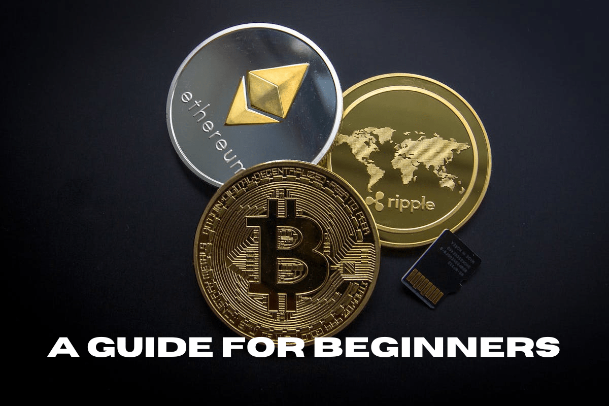 Beginner's guide to the crypto landscape featuring key concepts and trends in cryptocurrency