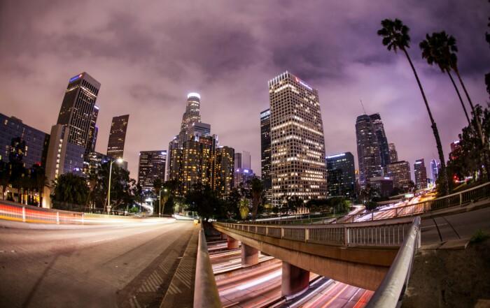 Image of Los Angeles skyline with palm trees. Software development in LA should be handled by locals - Los Angeles Software Developers