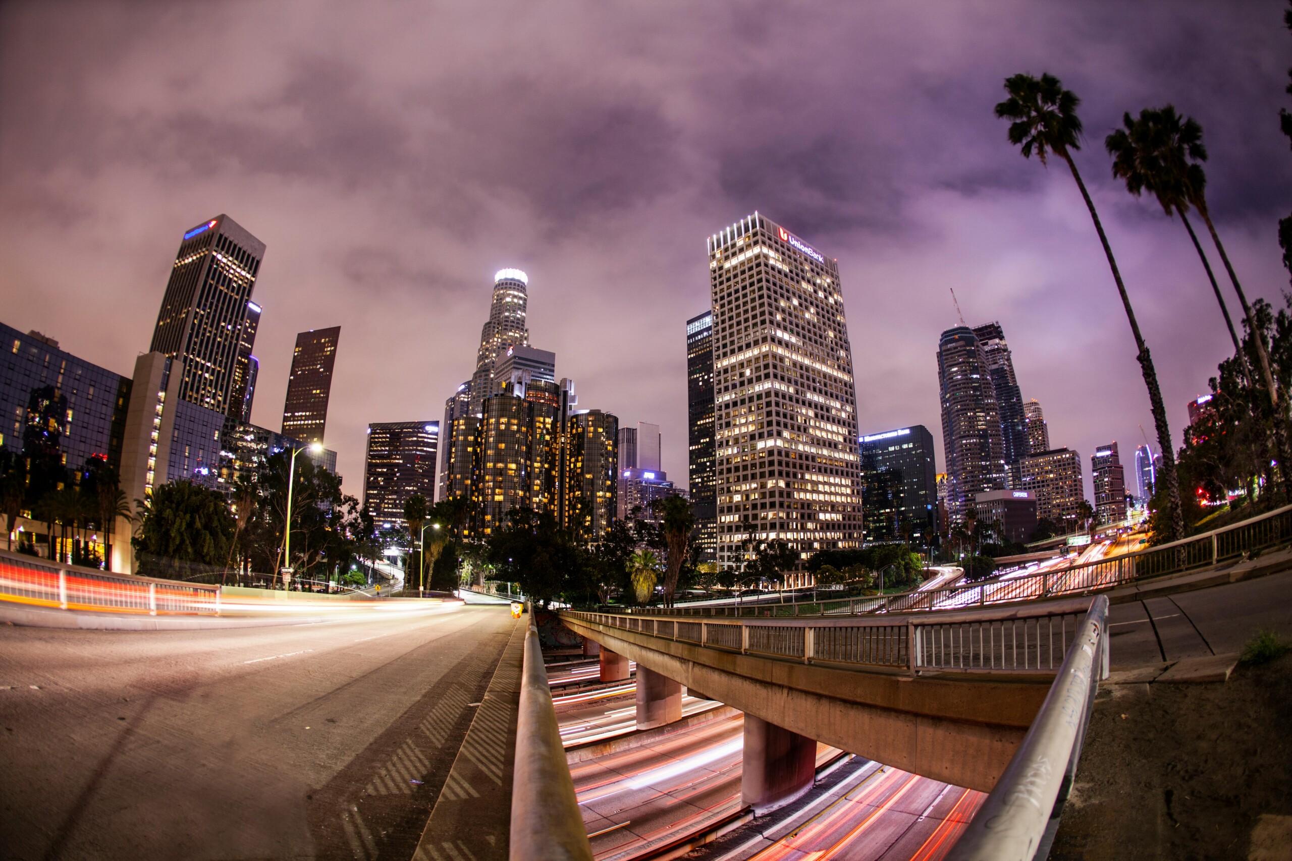 Image of Los Angeles skyline with palm trees. Software development in LA should be handled by locals - Los Angeles Software Developers